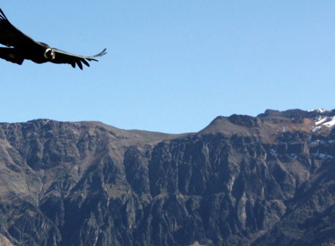 Official Tickets for the Sagrada Familia