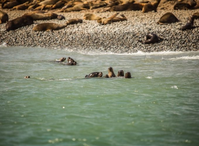 Official Tickets for the Sagrada Familia