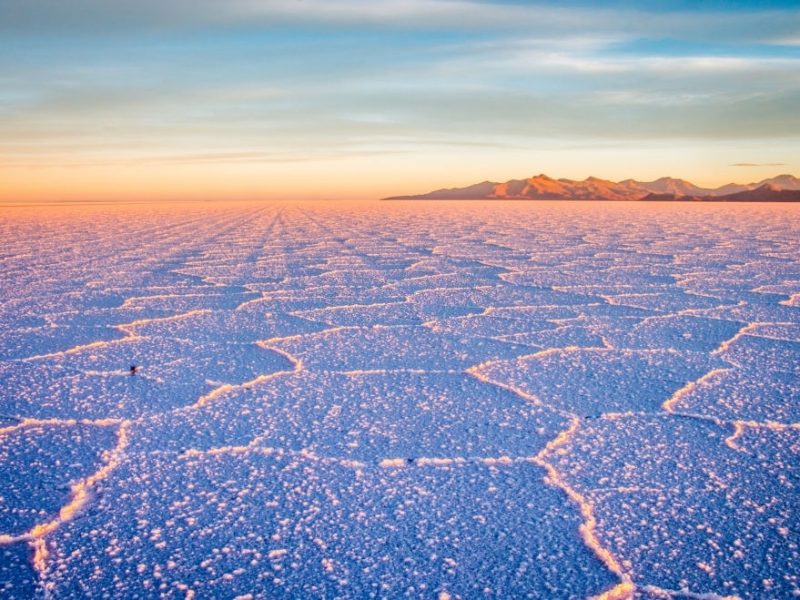 Official Tickets for the Sagrada Familia