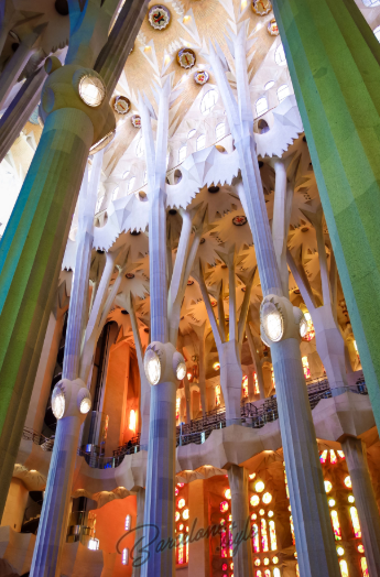 Official Tickets for the Sagrada Familia