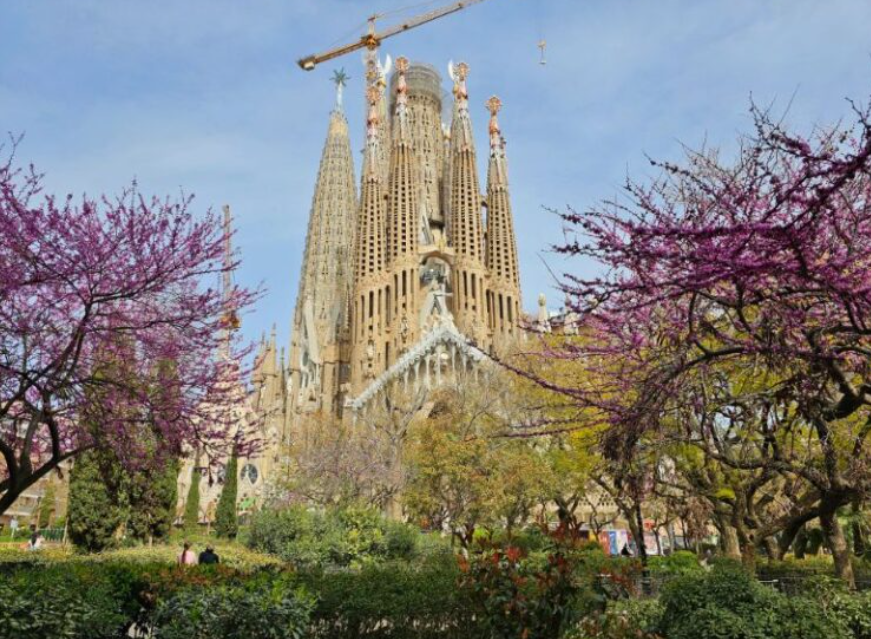 Official Tickets for the Sagrada Familia